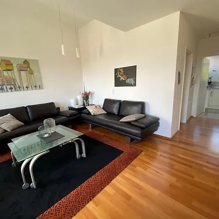 公寓 Nest Ueber Den Daechern Der Stadt 哥廷根