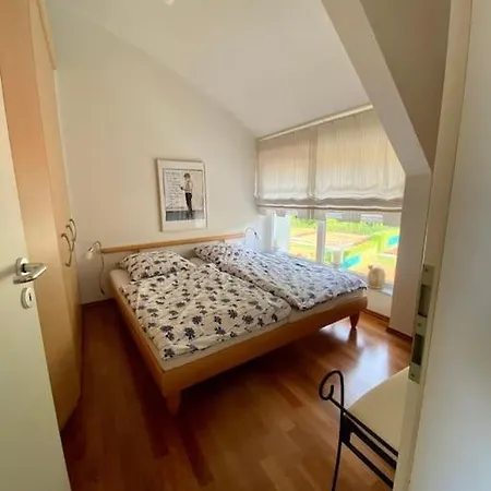 Nest Ueber Den Daechern Der Stadt
